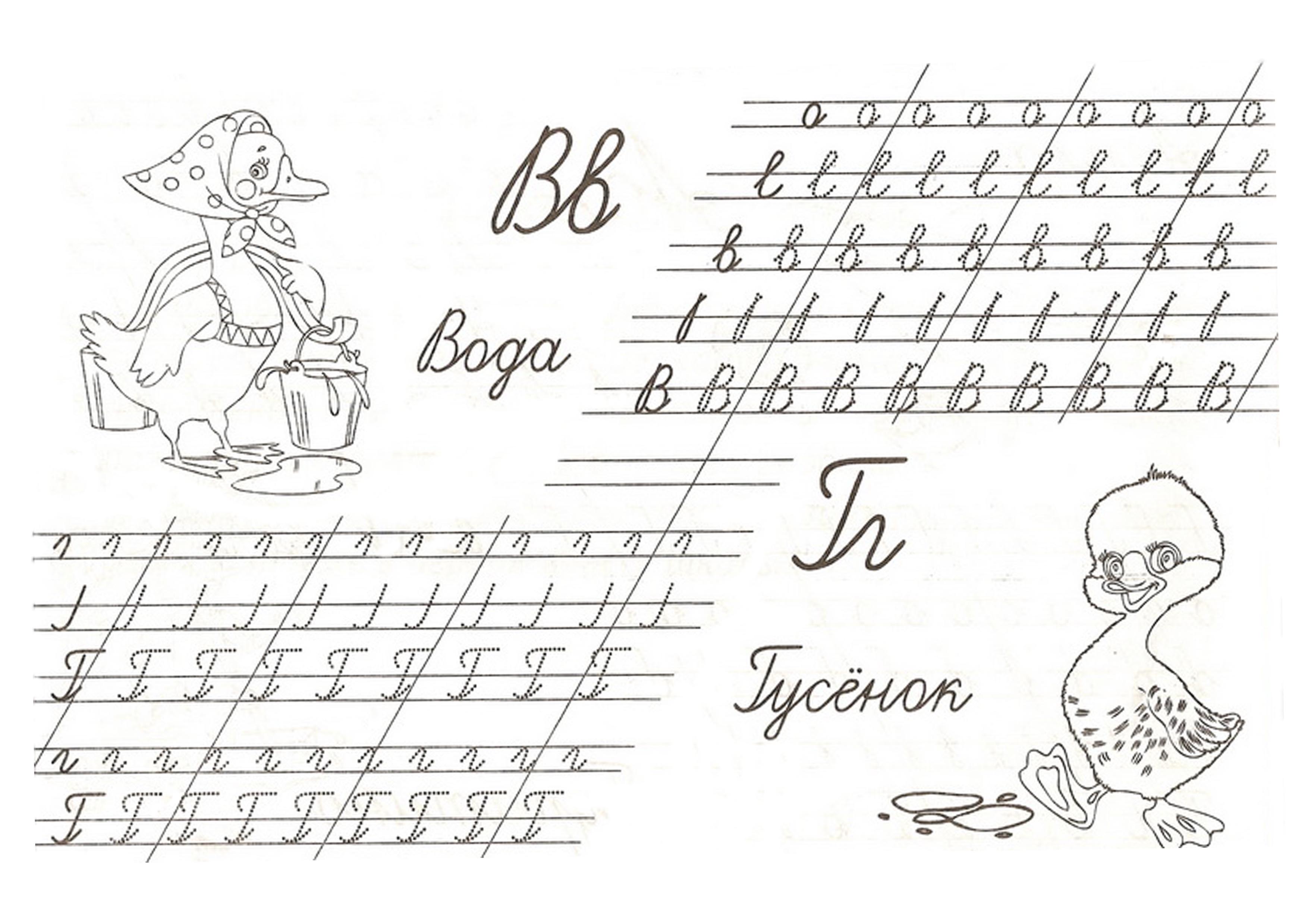 Заголовок
