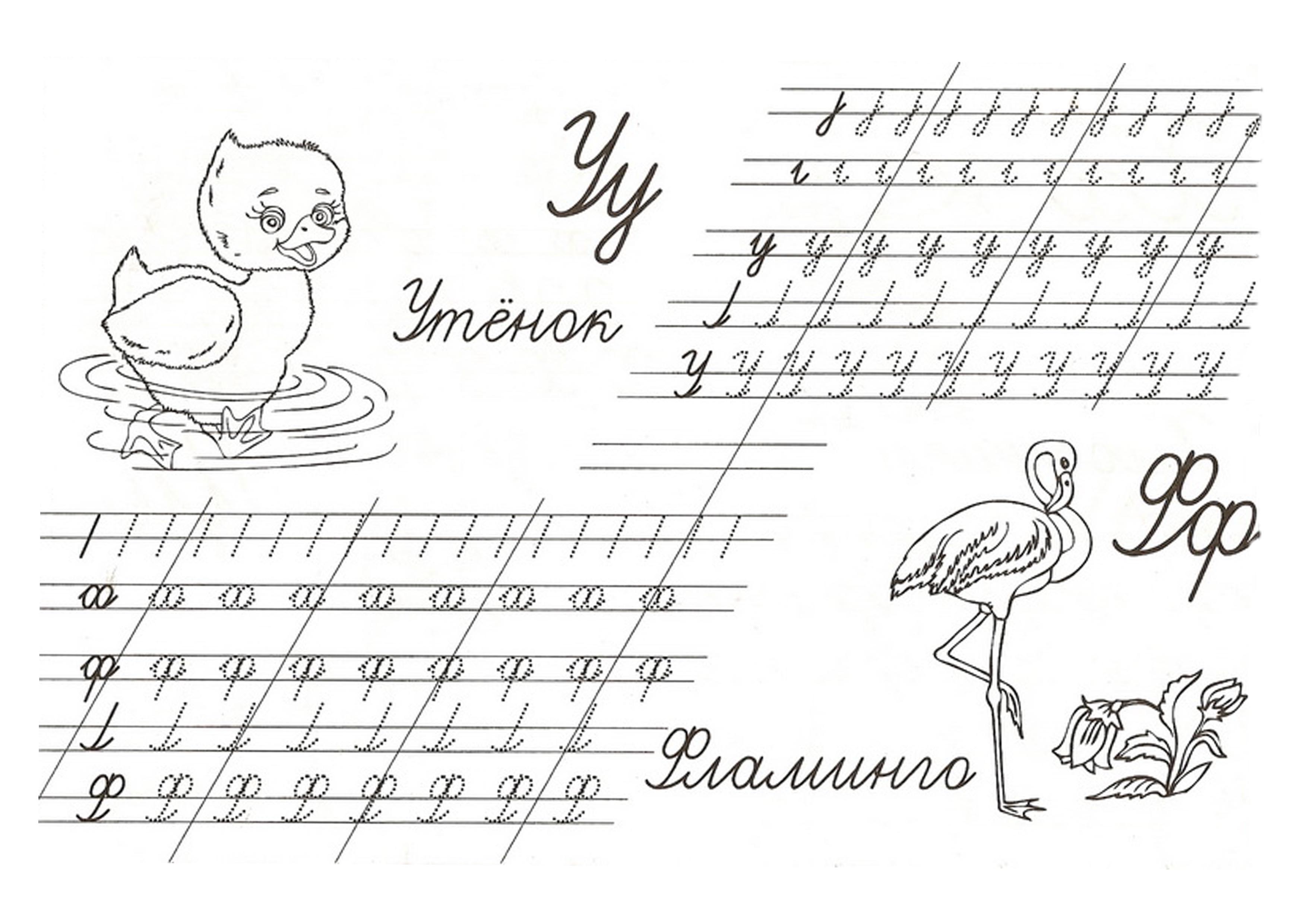 Заголовок