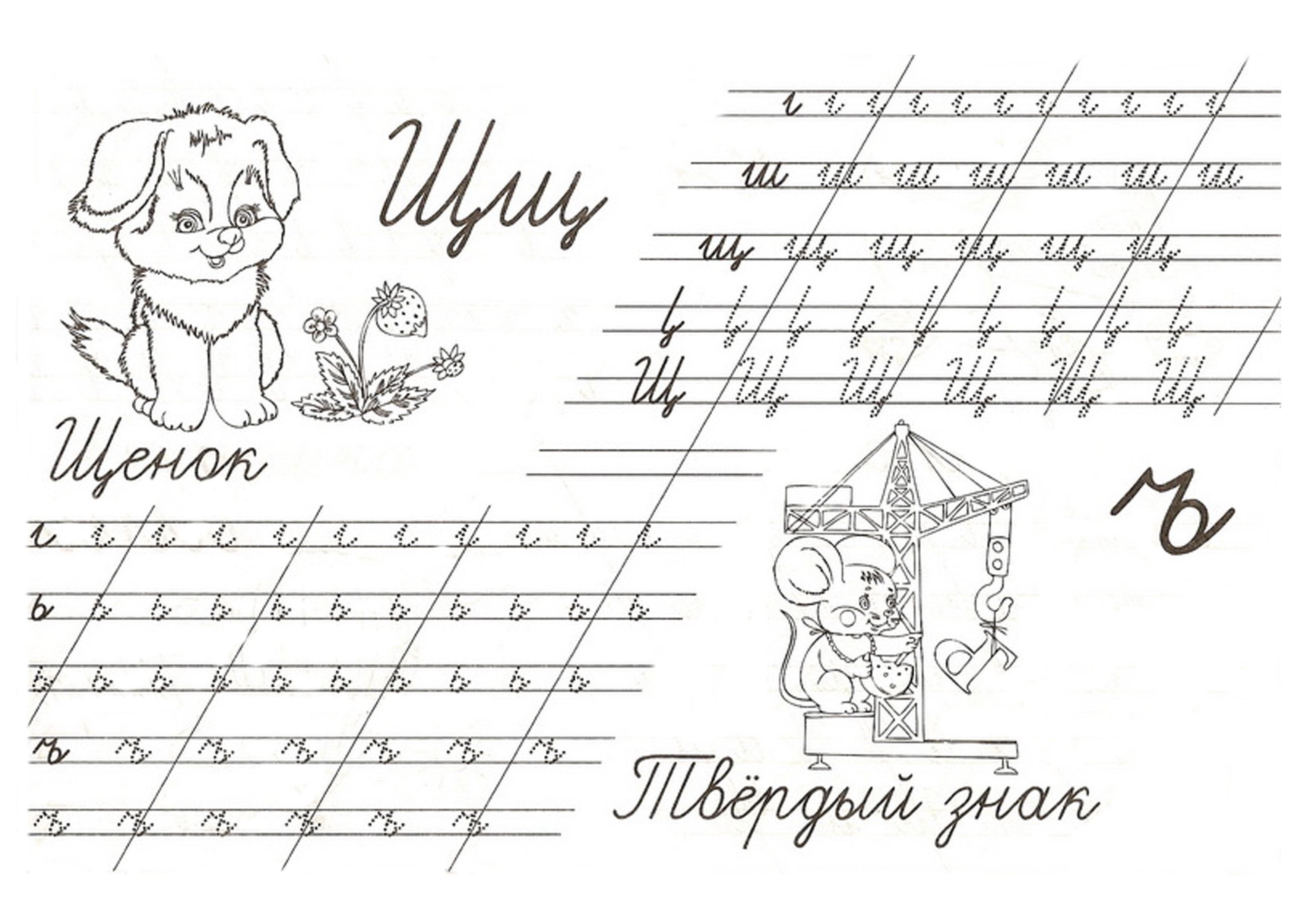 Заголовок